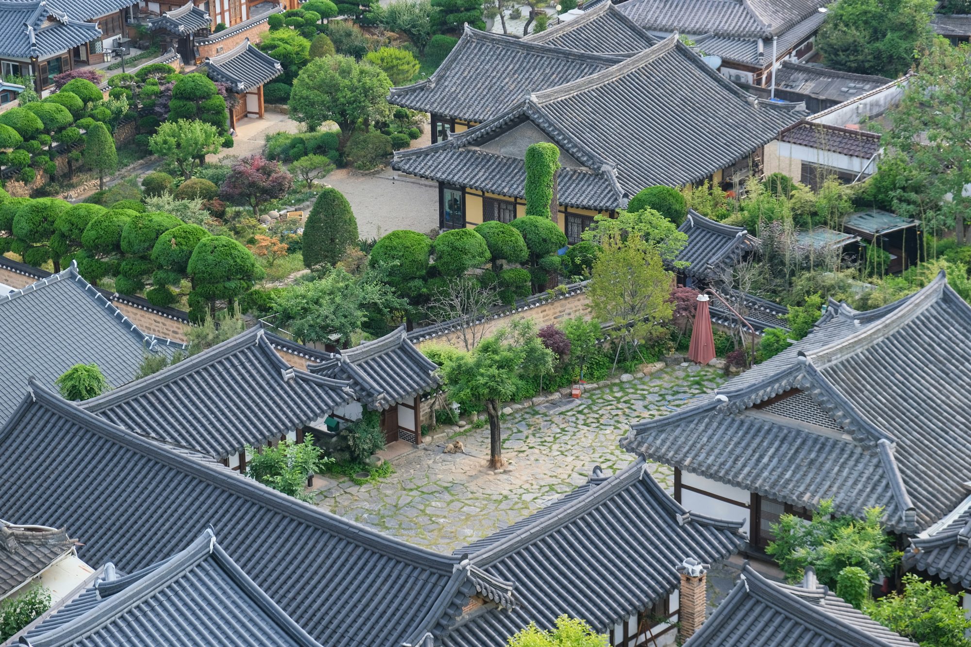 Aerial view of Bukchon Hanok Village rooftops in Seoul